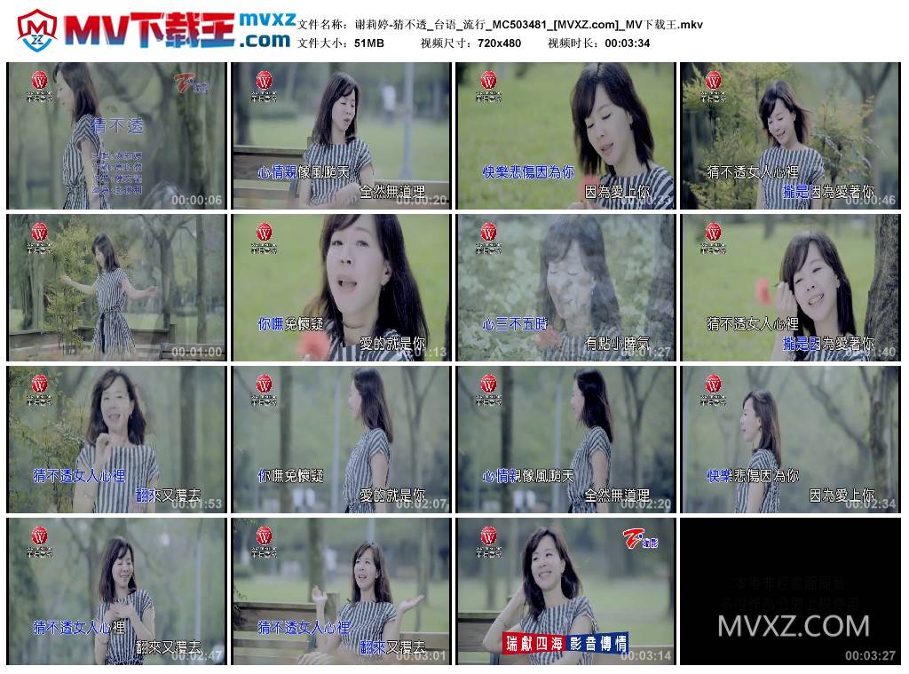 谢莉婷-猜不透_台语_流行_MC503481